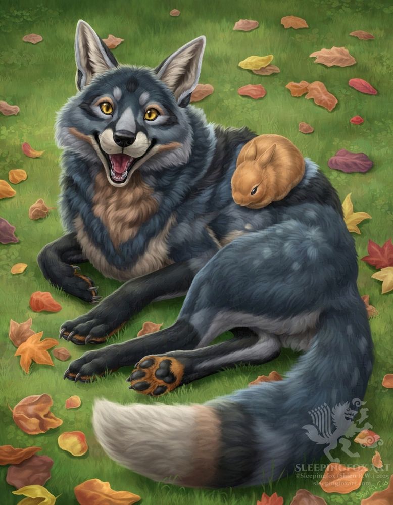 A steel blue, black, and cream colored fox happily looks up at the viewer, an orange rabbit nestled on his back. He might have been frolicking in the grass and autumn leaves moments before.