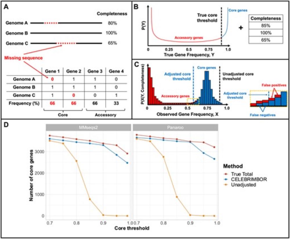 CELEBRIMBOR: core and accessory genes from metagenomes