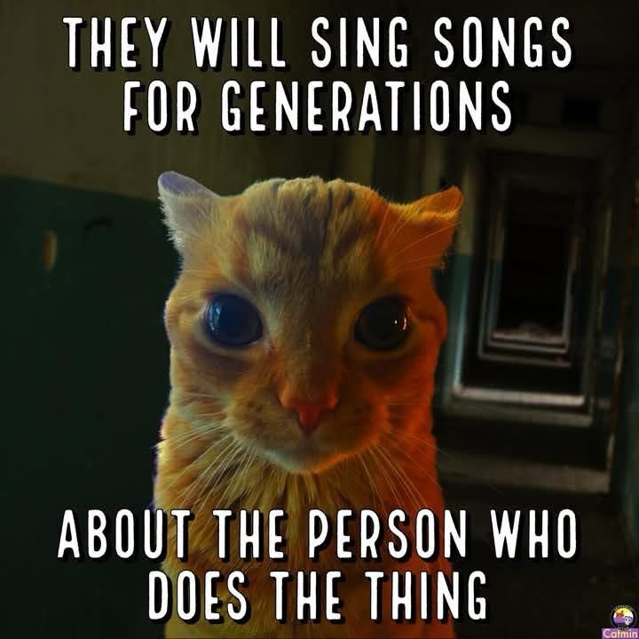 Comment image