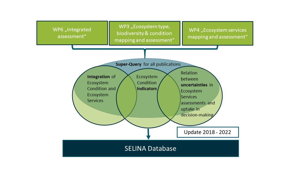  Flowchart diagram illustrating the integration of ecosystem condition indicators into the SELINA Database, with focus areas derived from three work packages: WP6 "Integrated assessment", WP3 "Ecosystem type, biodiversity & condition mapping and assessment", and WP4 "Ecosystem services mapping and assessment". These work packages contribute to a central "Super-Query for all publications", shown as a Venn diagram with three overlapping circles. The left circle is labeled "Integration of Ecosystem Condition and Ecosystem Services", the middle "Ecosystem Condition Indicators", and the right "Relation between uncertainties in Ecosystem Services assessments and uptake in decision-making". The output flows into the SELINA Database, with an update timeframe noted as "2018–2022".