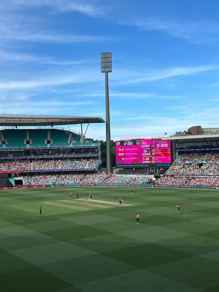Sydney Cricket Ground. Steve Smith batting after just scoring his hundred.