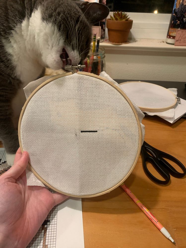 A hand holding an embroidery hoop with a single black line cross stitched onto it. There’s also a cat trying to eat the embroidery hoop. 