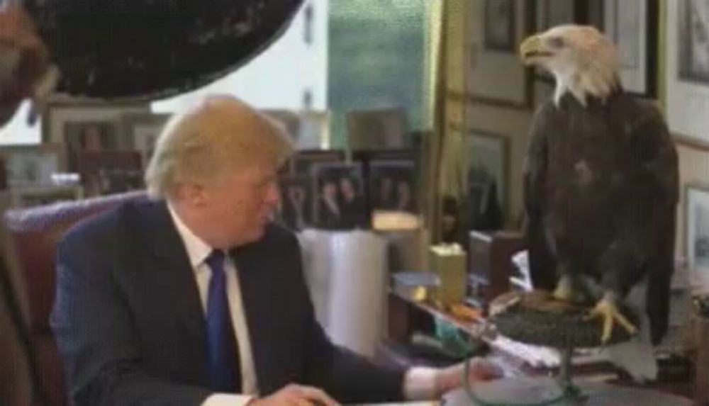 donald trump is sitting at a desk next to a bald eagle .