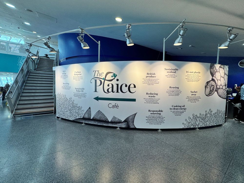 Curved counter branded as "The Plaice Café" with informational graphics about sustainable seafood practices. The design includes illustrations of fish and text about responsible sourcing, recycling, and other environmental initiatives.