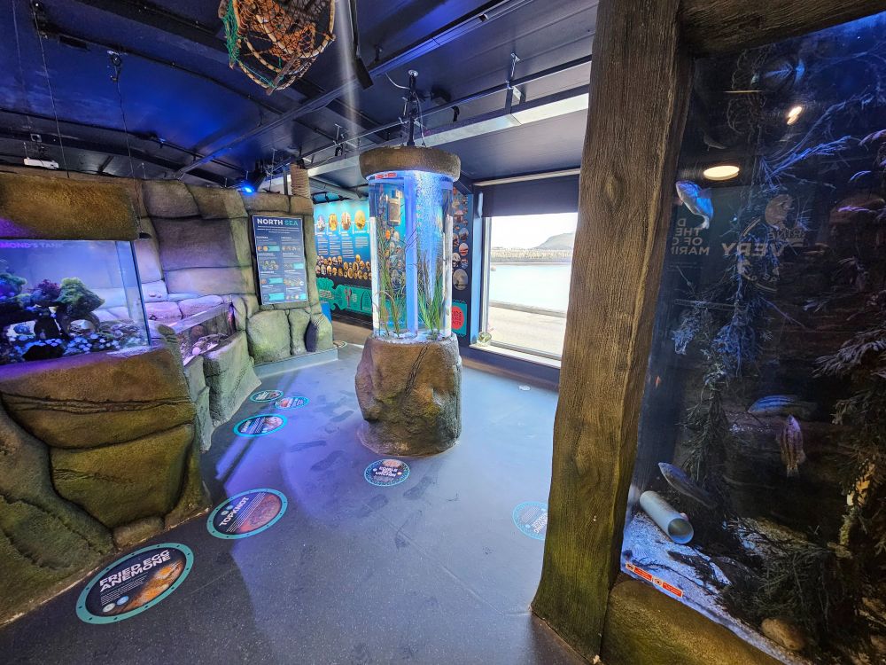 Inside the Marine Discovery Centre in Whitby.