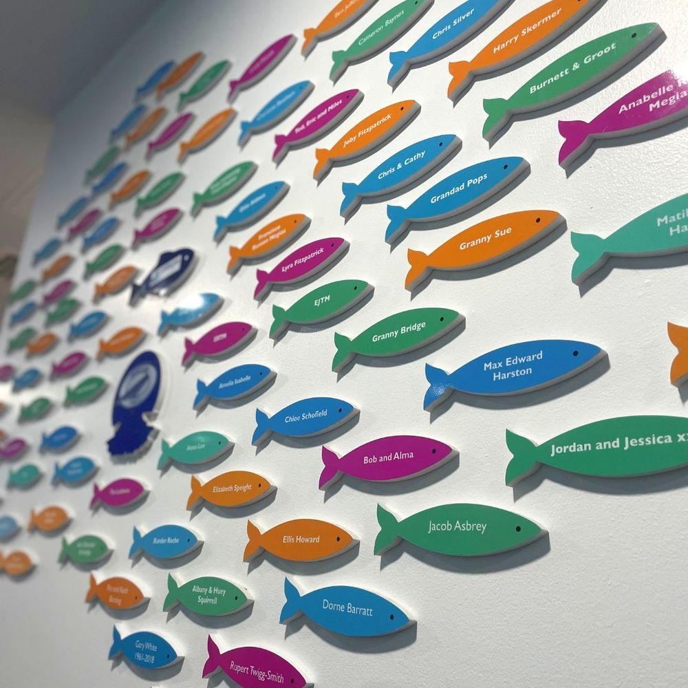 A colorful display of small fish-shaped plaques mounted on a wall, each bearing a different name.
