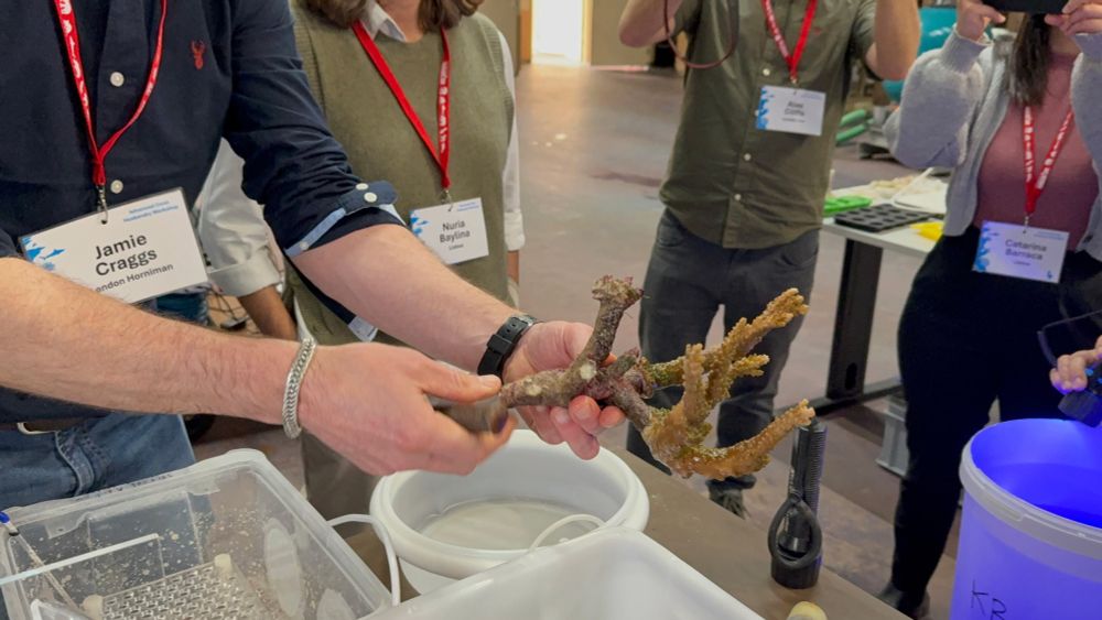 One of the coral experts handing a real coral.