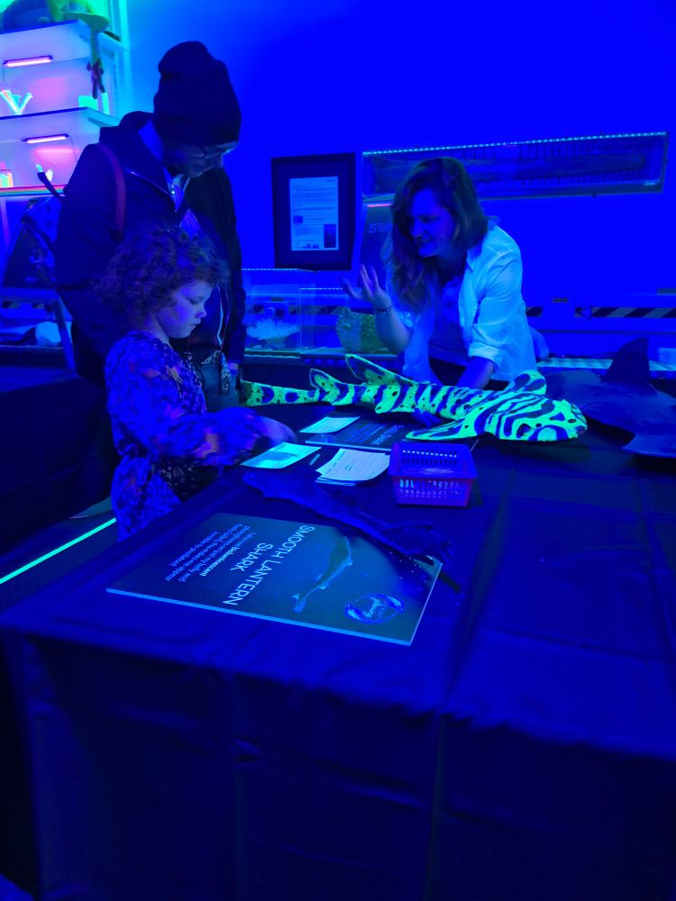 Another Guide engaging with a young child on the difference between two sharks as part of a trail activity. 