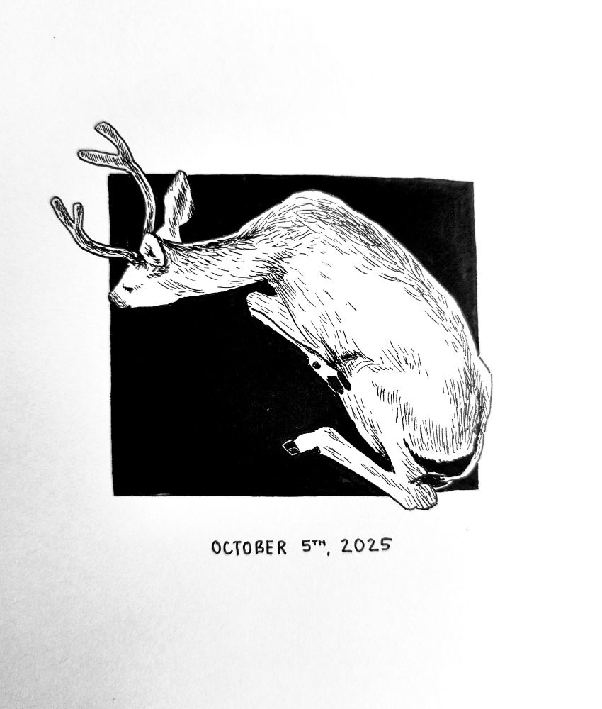 A deer laying down on a black square background