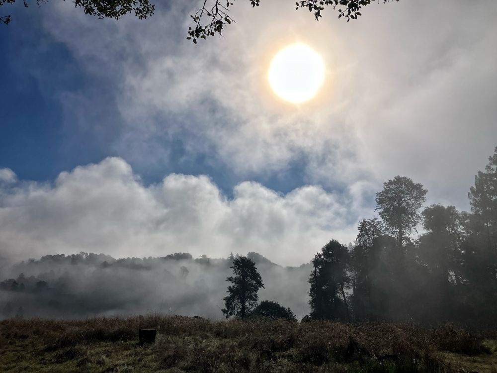 Sun burning off fog, ridges in silhouette