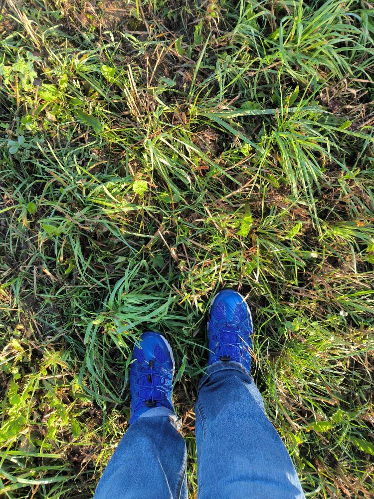 Blick von oben auf Füße in blauen Schuhen auf einer nassen Wiese.