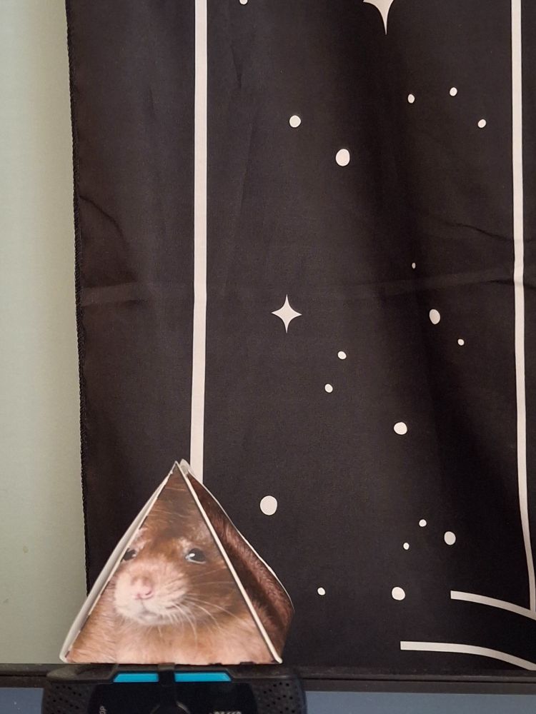 An eternal rat prism