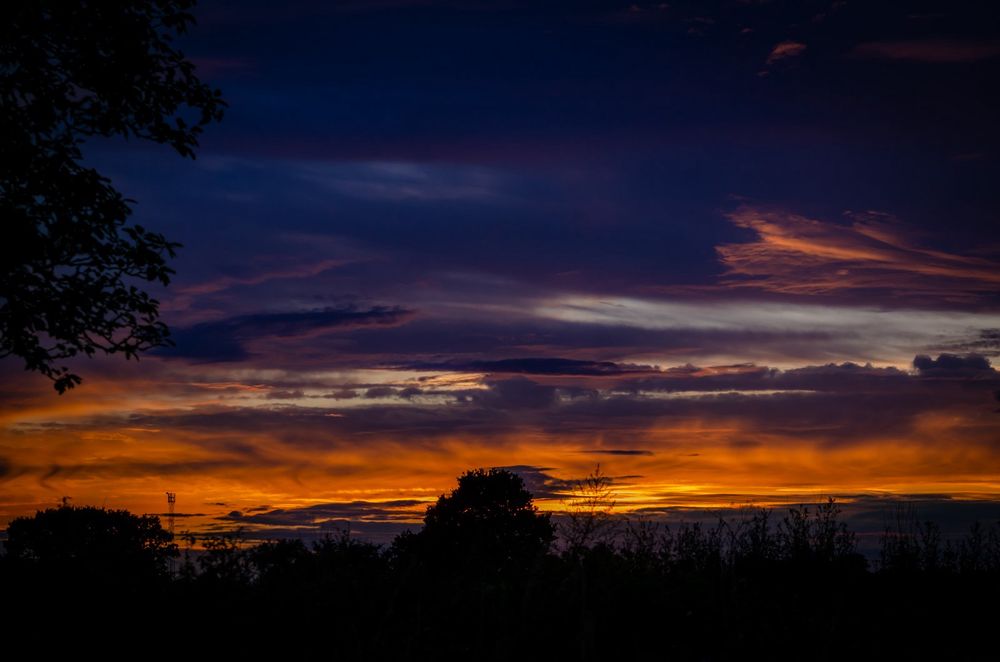Sonnenuntergangsfotografie. Oben dunkelblauer Himmel, in der Mitte rotorange angestrahlte Wolken, unten die Silhouetten von Bäumen und Büschen in Schwarz.