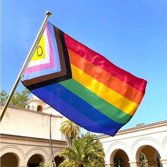 An intersex pride progress flag waving in the sky above a cream building with palm trees. The flag contains the rainbow with black, brown, blue, pink and white chevrons and the intersex symbol of a purple circle on a yellow background. 