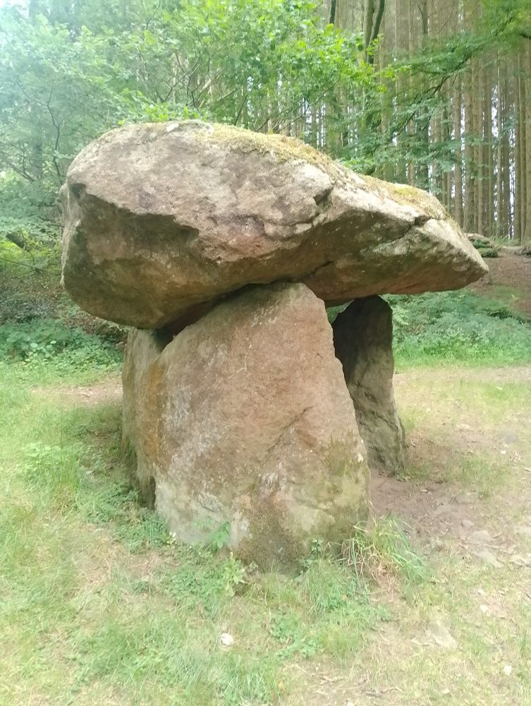 Gwal-y-Filiast cromlech.