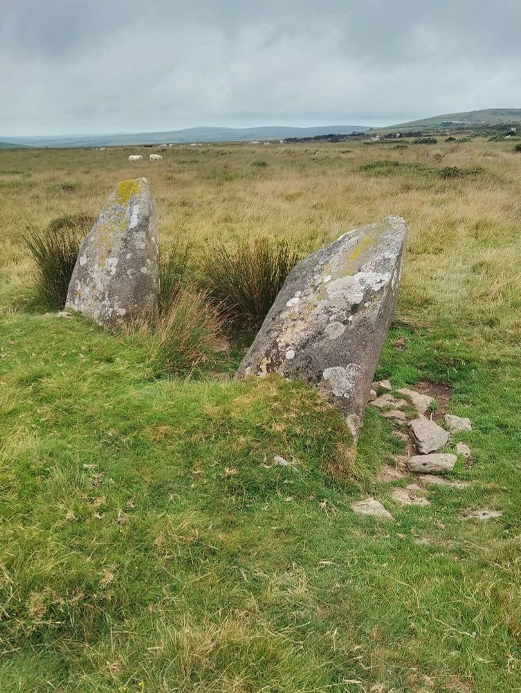 Two of the leaning stones at Tafarn-y-Bwlch 