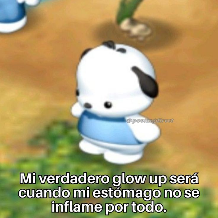 Imagen de Pochacco gordito diciendo: mi verdadero glow up será cuando mi estómago no se inflame por todo.
