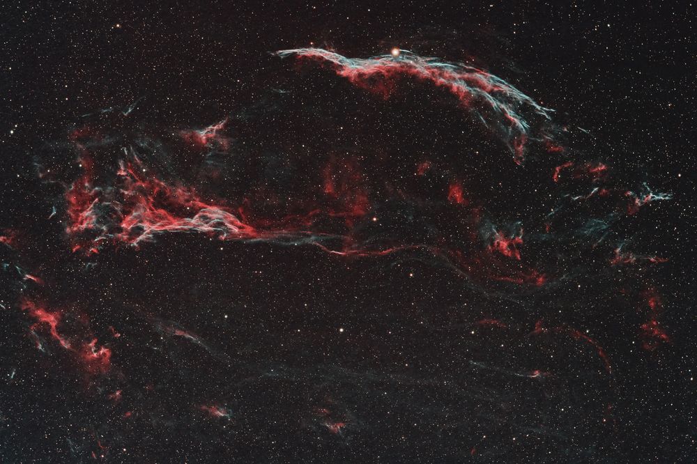 Against a sea of stars, the Veil Nebula complex glows with wispy red and blue tendrils that center on a main point in space: the location of its host star prior to it going supernova.
