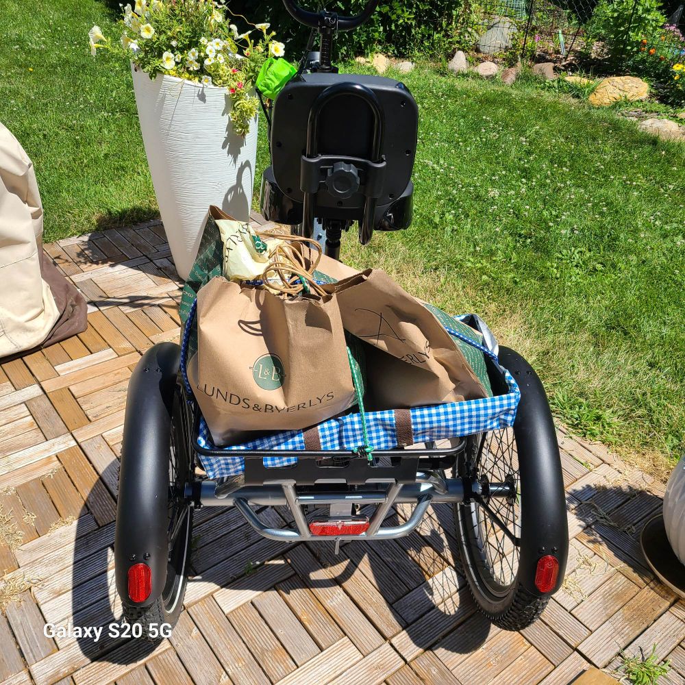 Electric trike loaded with produce in 2 grocery bags in blue gingham carrier on back cargo tray of trike. Pictured in back garden on wood patio in front of tall white planter full of flowers. In the background is grass and a flower garden bordered with stones.