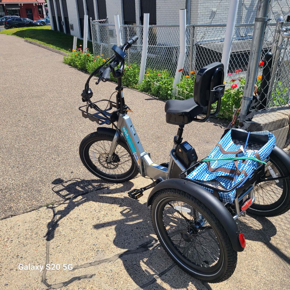 Electric trike next to the chain link fence in the Aliveness project's parking lot, 12 pounds of produce from my garden now delivered, a prolific row of zinnias in bloom just in front of the trike 
