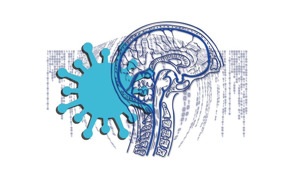 Large study offers latest insights into after effects of severe COVID-19 on the brain