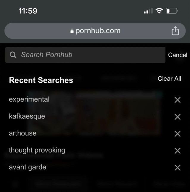 screenshot of the pornhub search function, listing recent searches as experimental, Kafkaesque, arthouse, thought provoking, avant garde