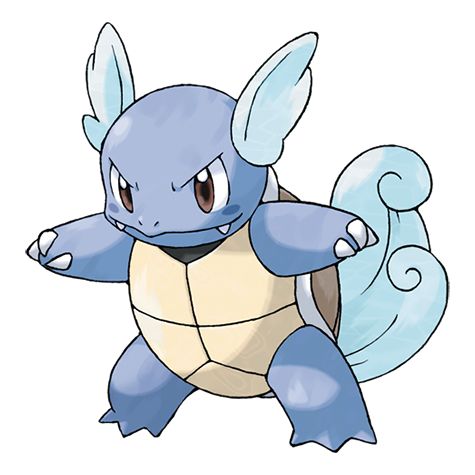 Wartortle Day ( #カメールの日 )
