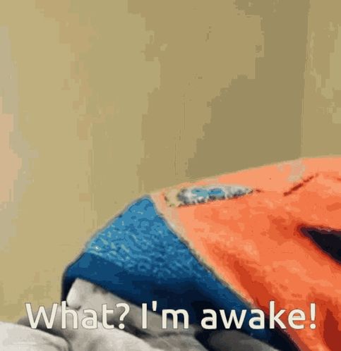 a person laying on a bed with the words " what ? i 'm awake " written below them