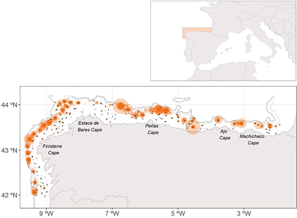 Map of the study area showing the sampling locations of four-spot megrim recruits from 1993 to 2020. Image: Authors
