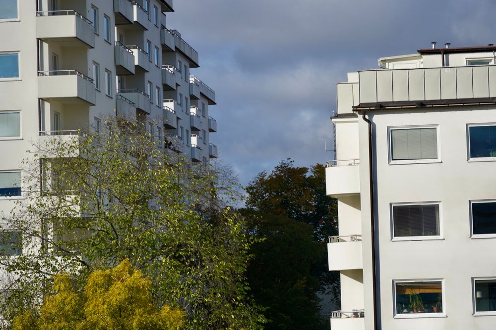 Positiva börser i Asien inleder veckan – nytt guldprisrekord – marknaden trött på Musks lögner och Tesla föll hårt – ingenjör bekräftar problemen på Northvolt – hushållen tror bostadspriserna stiger