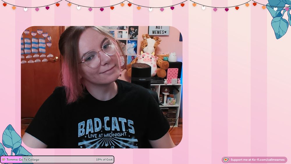 Ames smiling with their head tilted and wearing a black shirt that says bad cats live at midnight in white font. The background behind their facecam is pink striped and there are cherry blossom lights at the top. There is a kofi goal with 'Temmie go to college' on it in the lower left corner and Support me at ko-fi.com/callmeames on the right. Behind them is a pink wall covered in kpop posters and baldur's gate 3 art. There is pink cow squishmallow and a giraffe stuffed animal sitting on top of a cube organizer with various knicknacks.