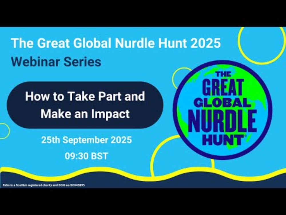The Great Global Nurdle Hunt 2025 - How to take part and make an impact