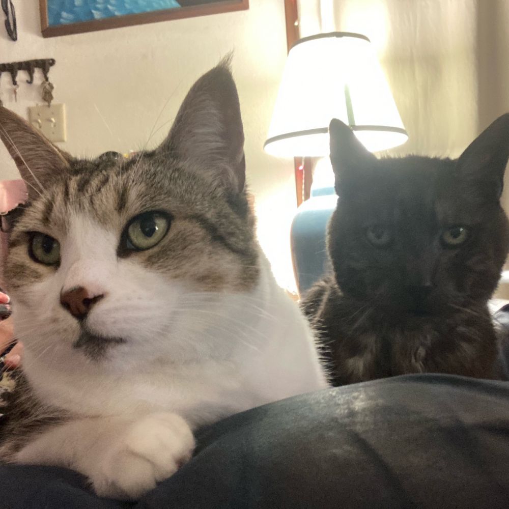 Master Paco with Catalina Beef Beebington