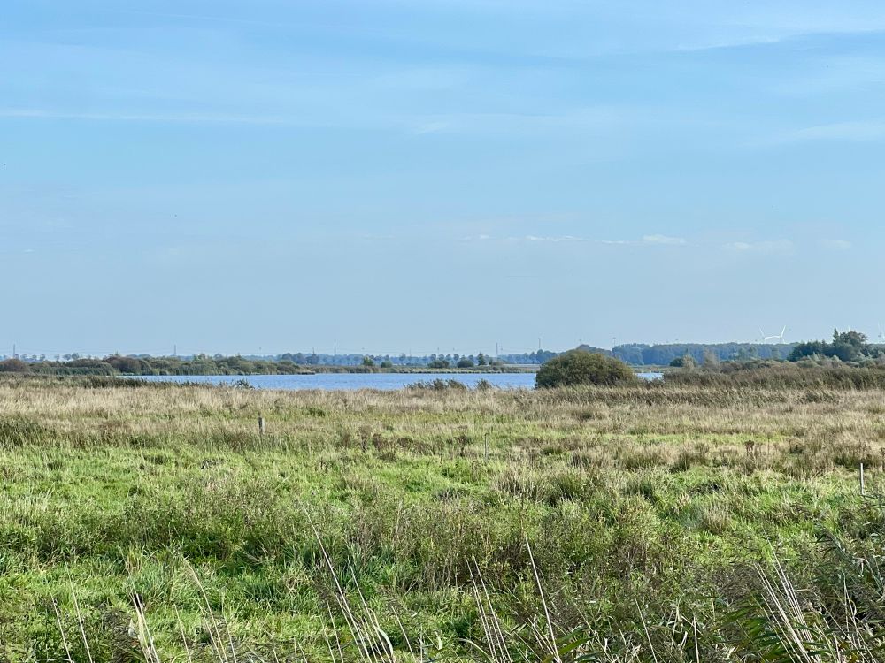 Ruig grasland met een meertje en daarboven blauwe lucht met een paar fijne wolken 