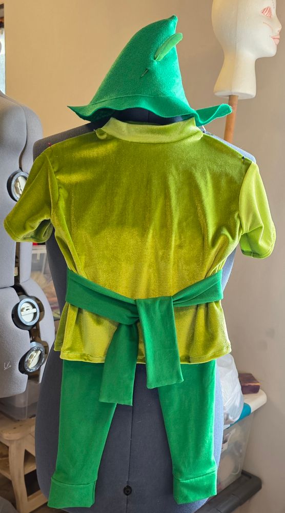 Peter Pan costume