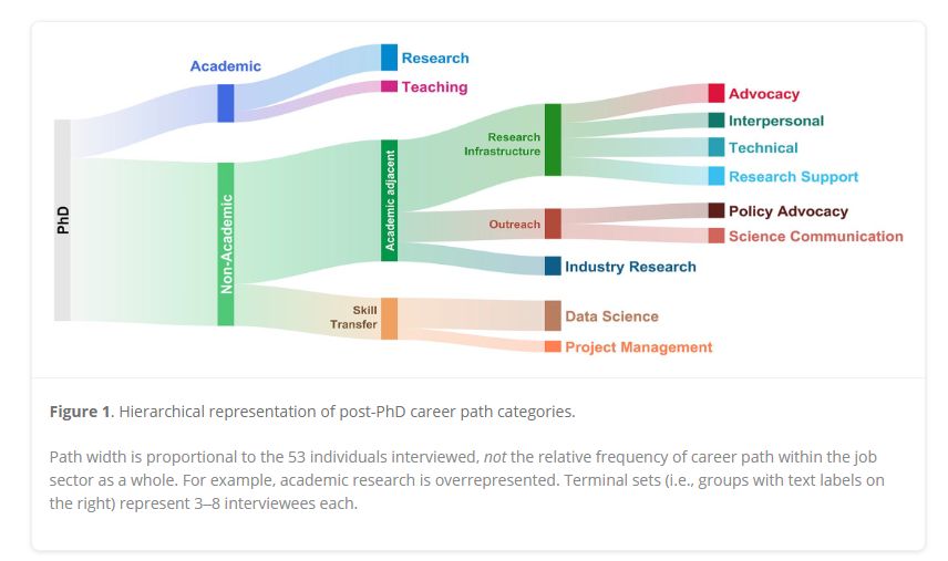 Diagram showing post-PhD career path categories. It includes academic and non-academic paths such as research, teaching, research infrastructure, industry research, data science, and project management. The diagram is based on interviews with 53 individuals, highlighting overrepresented areas like academic research