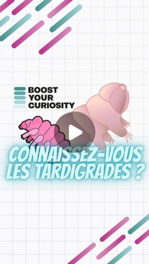 CASIO éducation France on Instagram: "Connaissiez-vous les tardigrades ? 😍
Elodie Charbrol @eloscicomm nous parle des ces tout petits petits (petits x1000) animaux pour le moins fascinants.

#Curiosit...