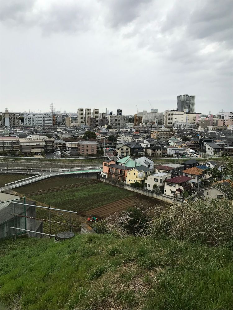 Seiseki Sakuragaoka The view of the city from the hilltop.