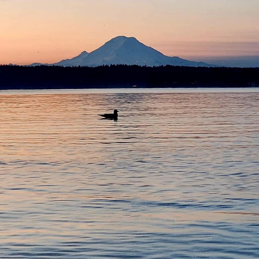 Photo I took of Mt Tahoma in the distance over a lake.
