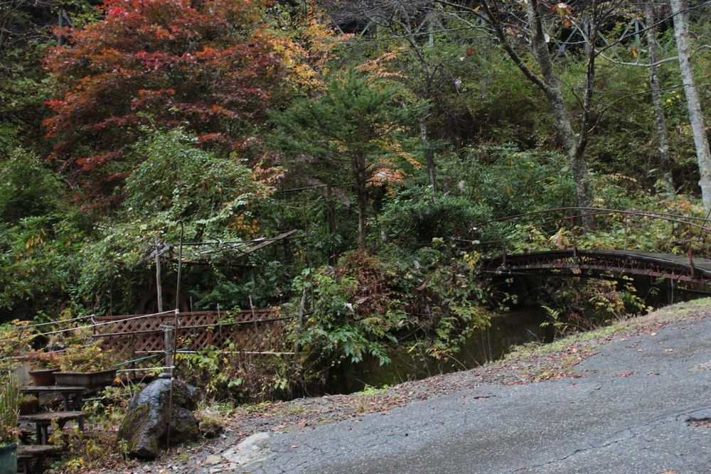La route avec des arbres sur le coté, derrière un fossé qui descend. On voit du matériel et un pont