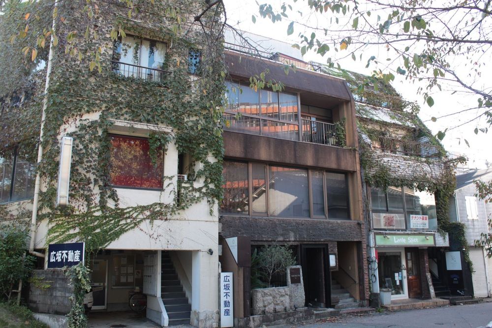 Trois batiments de deux-trois étages alignés, dont les plus clairs aux extrémités sont recouverts de lierre, et le plus foncé au milieu en est épargné. 