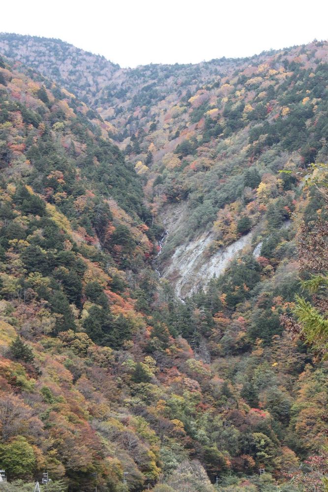 Photo d'un flanc de montagne recouvert d'arbres avec une rivière qui passe au milieu, formant une crevasse. 