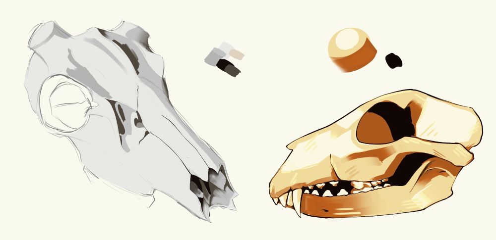 a partially painted elk skull, and a fully painted dog skull study