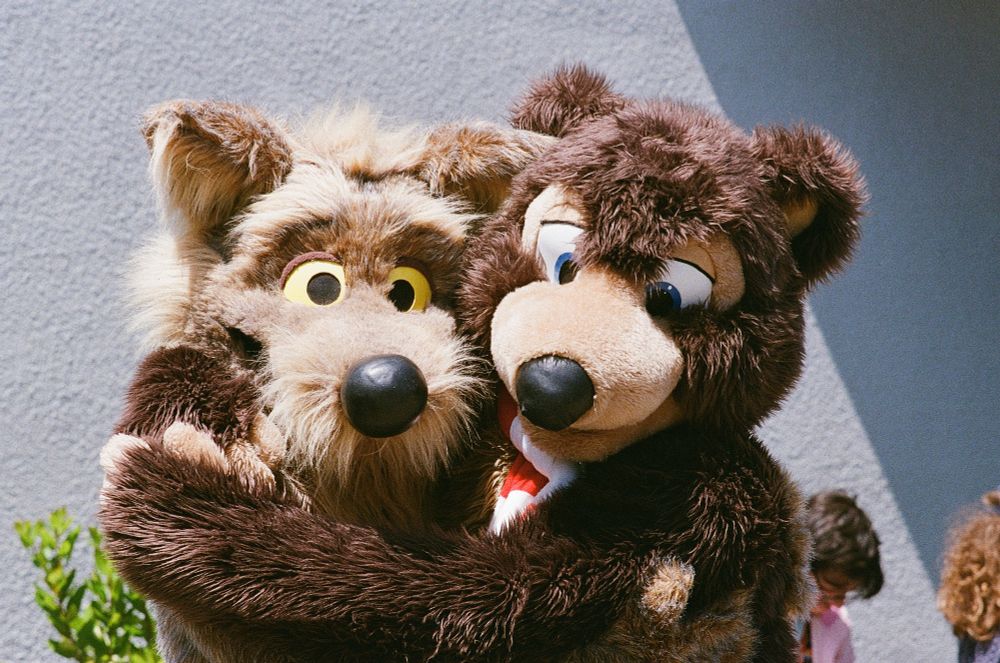 A coyote named Hegdish and a bear named Bosco share an embrace. The photo is warm, as it was shot on 35mm film. The animal people look very cute and friendly.