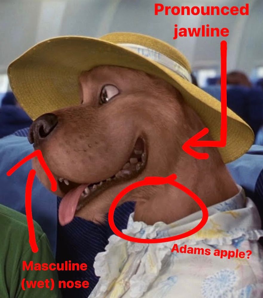 A picture of scooby doo from the first live action movie dressed as a woman to go onto a plane. His neck is circled & labeled “Adams apple?” His dog snout has an arrow pointed to it that says “masculine (wet) nose” then his jaw being pointed at; “pronounced jawline”
