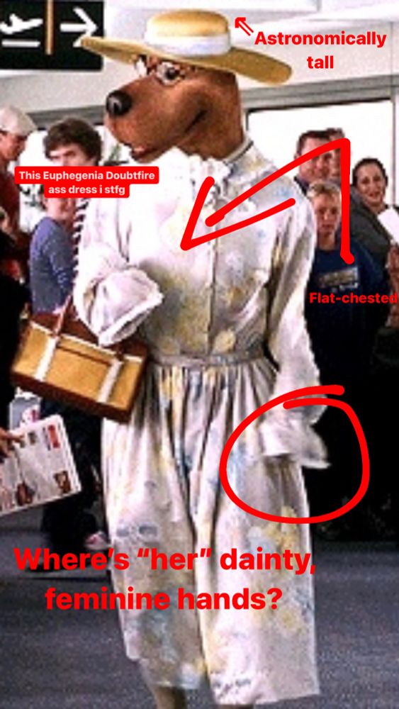 A full body shot of scooby as an older woman wearing the dress. In this picture he is wearing leopard print glasses & a purse. Hes also wearing a sun hat but i forgot to mention that in the last one. Theres an arrow pointed above him labeled “Astronomically tall” theres a label above his dress that says “this euphegenia doubtfire ass dress i swear to fuckin god” his chest has an arrow labeled “flat chested” pointed to it & a circle is around one of his sleeves, which both his paws are hidden in. The circle is labeled “wheres HER dainty, feminine hands?”