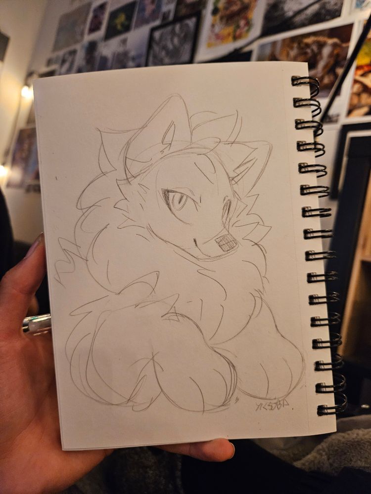 A sketch of a very fluffy dog