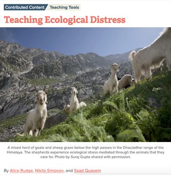 Screen shot of the series title in orange, and below the series image, depicting "A mixed herd of goats and sheep graze below the high passes in the Dhauladhar range of the Himalaya. The shepherds experience ecological stress mediated through the animals that they care for. Photo by Suraj Gupta shared with permission."