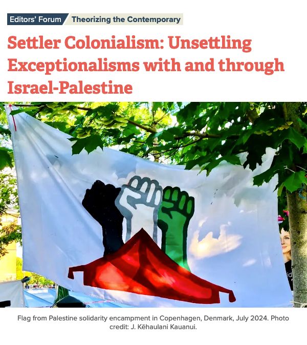 Screen shot of the series title in orange, and below the series image, a flag from a Palestine solidarity encampment in Copenhagen, Denmark: a white flag, with three fists in black, white and green emerging from a red tent.