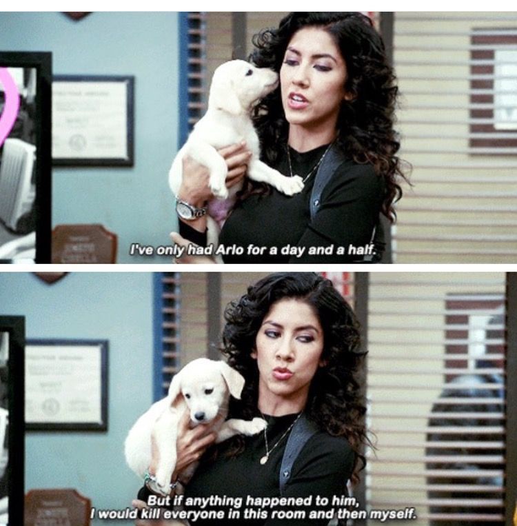 A meme about a girl & a puppy, she will kill for the puppy